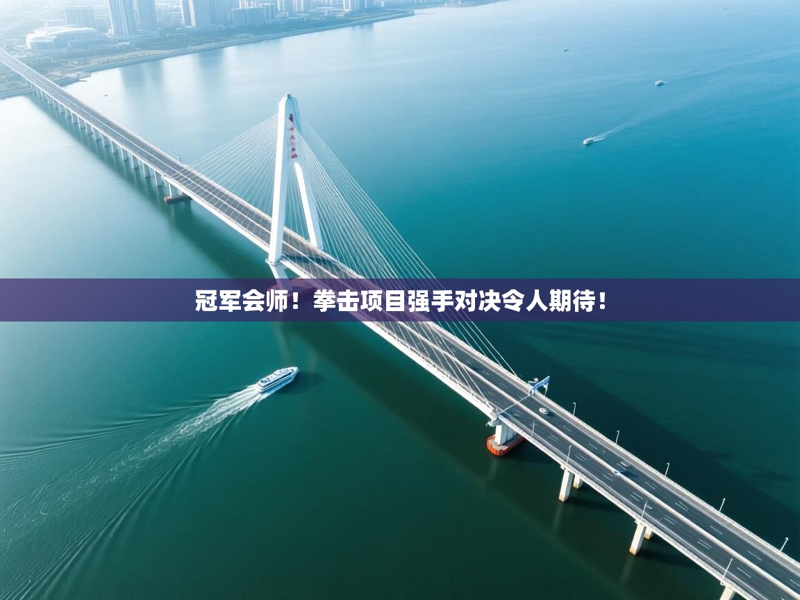 冠军会师!拳击项目强手对决令人期待! 第2张