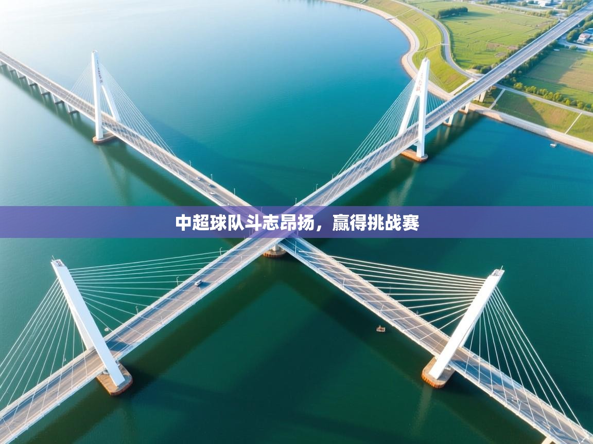 中超球队斗志昂扬,赢得挑战赛 第1张