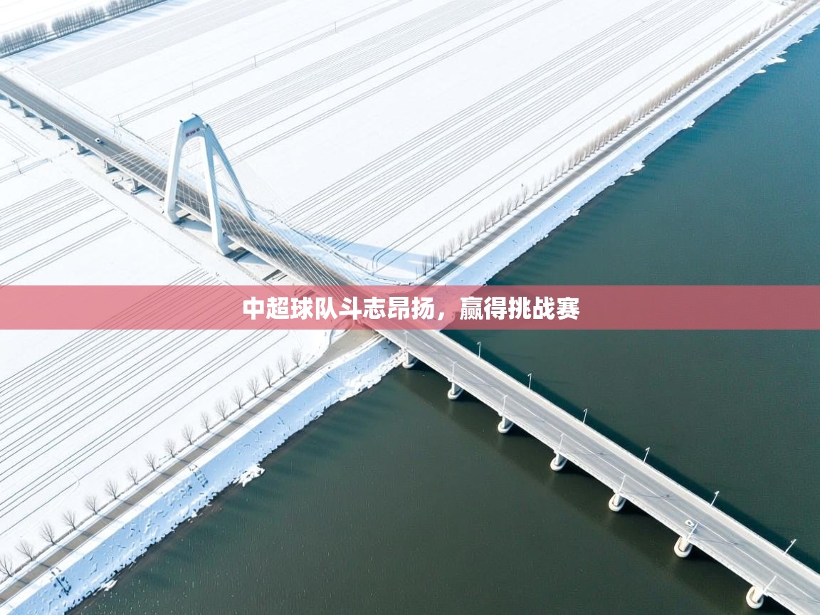 中超球队斗志昂扬,赢得挑战赛 第2张